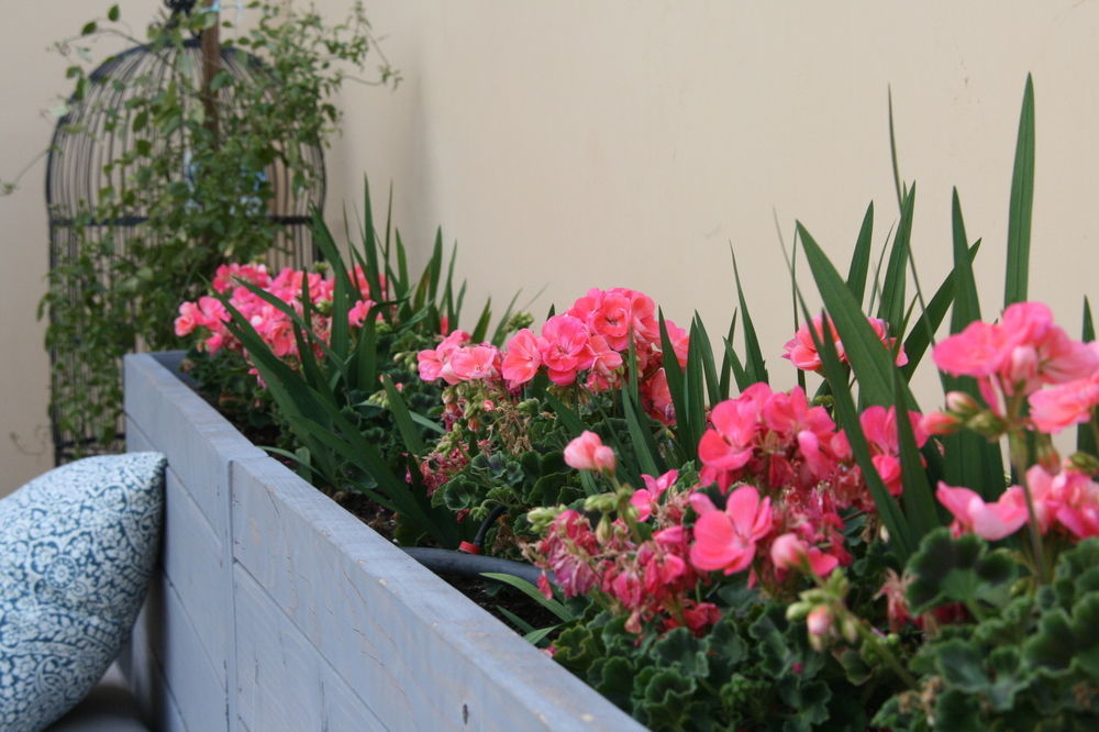 Bespoke Inn Scottsdale Zewnętrze zdjęcie